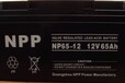 耐普蓄电池NP65-12(12V65AH)参数及价格