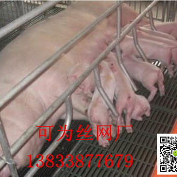养猪铁丝网规格&云南养猪铁丝网规格&养猪铁丝网生产厂