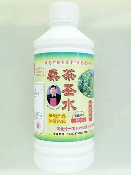 桑茶葉面肥