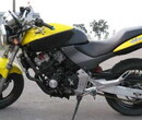 本田小黄蜂250cc摩托车多少钱