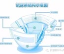 天津进口纸尿裤一般贸易代理图片