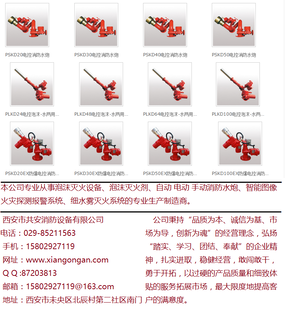 厂家生产各种消防水炮/陕西PLKD电控消防泡沫水两用炮图片2