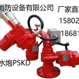 厂家生产各种消防水炮/陕西PLKD电控消防泡沫水两用炮图片6