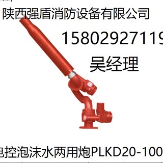 厂家生产各种消防水炮/陕西PLKD电控消防泡沫水两用炮图片1
