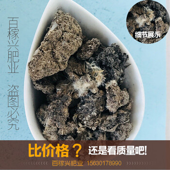 甘肅雞糞有機肥價格干雞糞純雞糞發(fā)酵腐熟有機肥批發(fā)