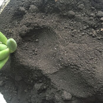 湖北生物有機肥湖北菌肥廠家湖北雞糞羊糞牛糞發(fā)酵腐熟廠家直發(fā)
