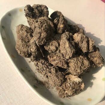 甘肃有机肥鸡粪临夏干鸡粪甘南大量出售鸡粪定西发酵纯鸡粪