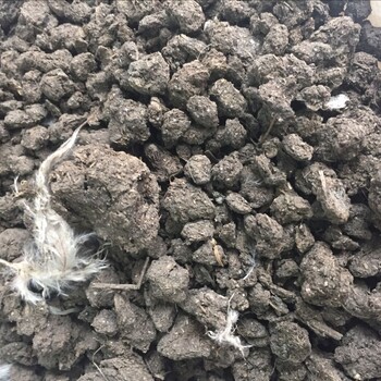 邢臺純羊糞價格邢臺干雞糞有機肥邢臺牛糞腐熟肥料邢臺菌肥廠家