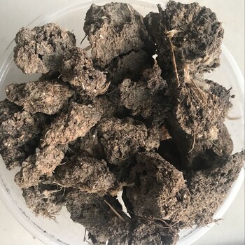 廣西雞糞采購廣西雞糞價格廣西雞糞有機肥從哪里批發(fā)砂糖橘肥