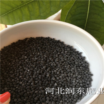 種植有機(jī)肥生物菌肥高含量品質(zhì)好廠家