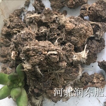 全网销量鸡粪肥猪粪肥羊粪肥牛粪肥厂家