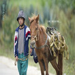 北京石景山矮马骑乘小矮马,进口设特兰矮马图片
