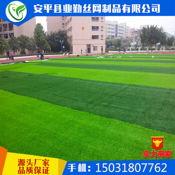 現(xiàn)貨批發(fā)人工墻仿真草坪塑料工程圍擋草坪網(wǎng)人造綠草皮