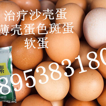 蛋鸡拌料添加剂-减少缺陷蛋的鸡益生菌