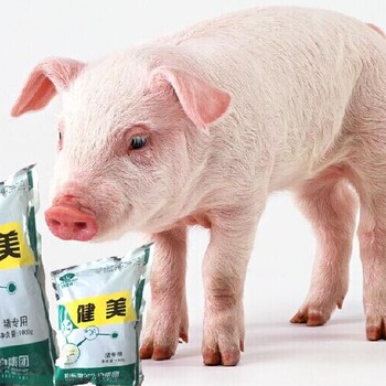 育肥猪催肥饲料添加剂猪的价格
