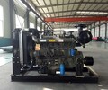 潍坊厂家直销柴油发电机30KW200KW300KW50千瓦发电机两缸四缸六缸柴油机133-75-369201