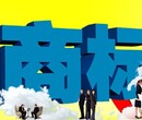 南京江北新区浦口六合公司国内商标注册申请代办精准注册快速高效图片