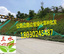 高速公路邊坡植草防護綠化施工就找九江三水園林綠化公司圖片