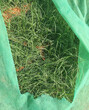 喷播植草护坡施工方案绵阳三水草种草籽供应图片