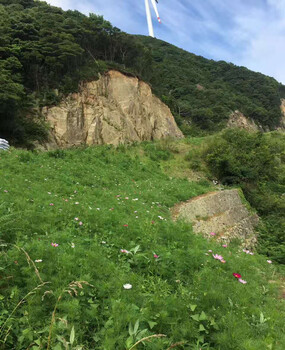 林业矿山边坡绿化种草自贡复绿草种效果好