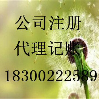 公司注册、代理记账、工商年检、一般纳税人、资质申请