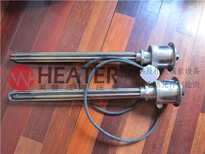 上海庄海电器带温控法兰式电热管支持非标定做图片2