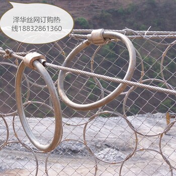 廠家被動防護(hù)網(wǎng)