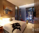 新模式新思路只做新型賓館酒店加盟，就在北京上邦戴斯主題酒店設計圖片