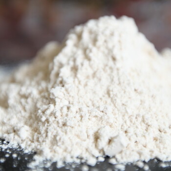 食品级大米水解蛋白粉生产厂家