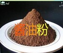 食品级特鲜酱油粉价格食用增味剂特鲜酱油粉图片