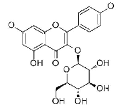 480-10-4、紫云英苷、黄芪苷Astragalin现货供应中药对照品