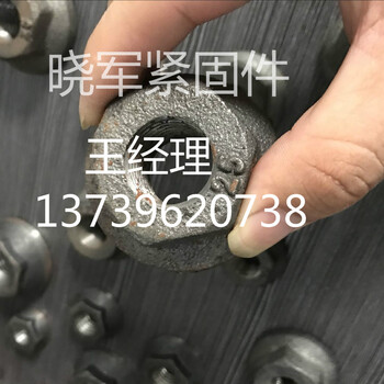供应上海钢筋锚固板邯郸厂家十年球墨铸铁