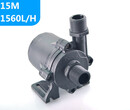 广州锐纳泵业12V/24V电动汽车电池控制器冷却循环泵DC50E图片