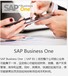 sap系统sapB1erp管理系统青岛中科华智企业信息化专家