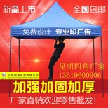 富宁县帐篷货源帐篷伞折叠方便车载图片1