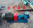 嘉睿新品热销RY20-20-160导热油泵高温导热油泵图片