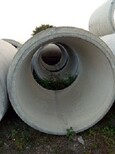供應廣州番禺水泥管廠家Φ1650鋼筋混凝土排水管，水泥管.企口管圖片4