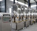 自酿啤酒设备—发酵罐-DY-FJG-500