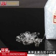 车缝定型TPU弹力带兰光TPU弹力带S系列高端TPU弹力带