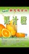 河南郑州新思想橙味果汁原浆浓缩美味可口果汁糖浆