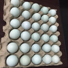 四川綠殼雞蛋批發零售成都綠殼蛋批發零售