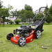 周口市电动小型除草机插电式草坪机修剪园林花园小区割草机