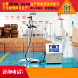 黑龙江玻璃水设备汽车尿素设备全套尿素设备价格图片2