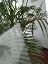 聊城S形陽(yáng)光板每平米價(jià)格