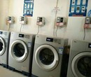 投币洗衣机行业领先+TCL原装商用全国联保免费上门安装