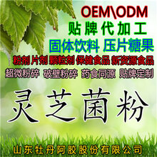 灵芝菌粉厂家保质保量批发灵芝菌丝体粉天然灵芝菌粉量大从优图片