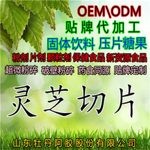 灵芝片段木赤灵芝切片灵芝片批发图片