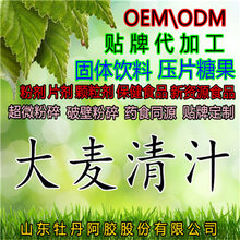 大麦青汁大麦若叶青汁粉酵素五谷杂粮代餐粉清汁批发OEM图片