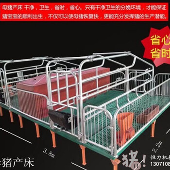 母猪产床尺寸设计图养猪设备母猪产床怎么选择