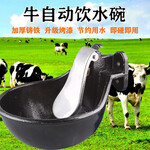 加厚铸铁同发马牛用自动碗式饮水器自动喂水牛饮水碗养牛设备